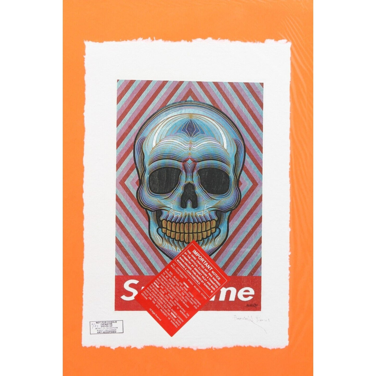Supreme Skull Print By Fairchild Paris LE 11/25