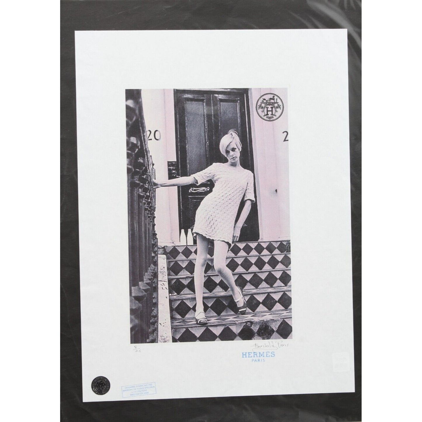 Hermes Twiggy Print By Fairchild Paris LE 8/25