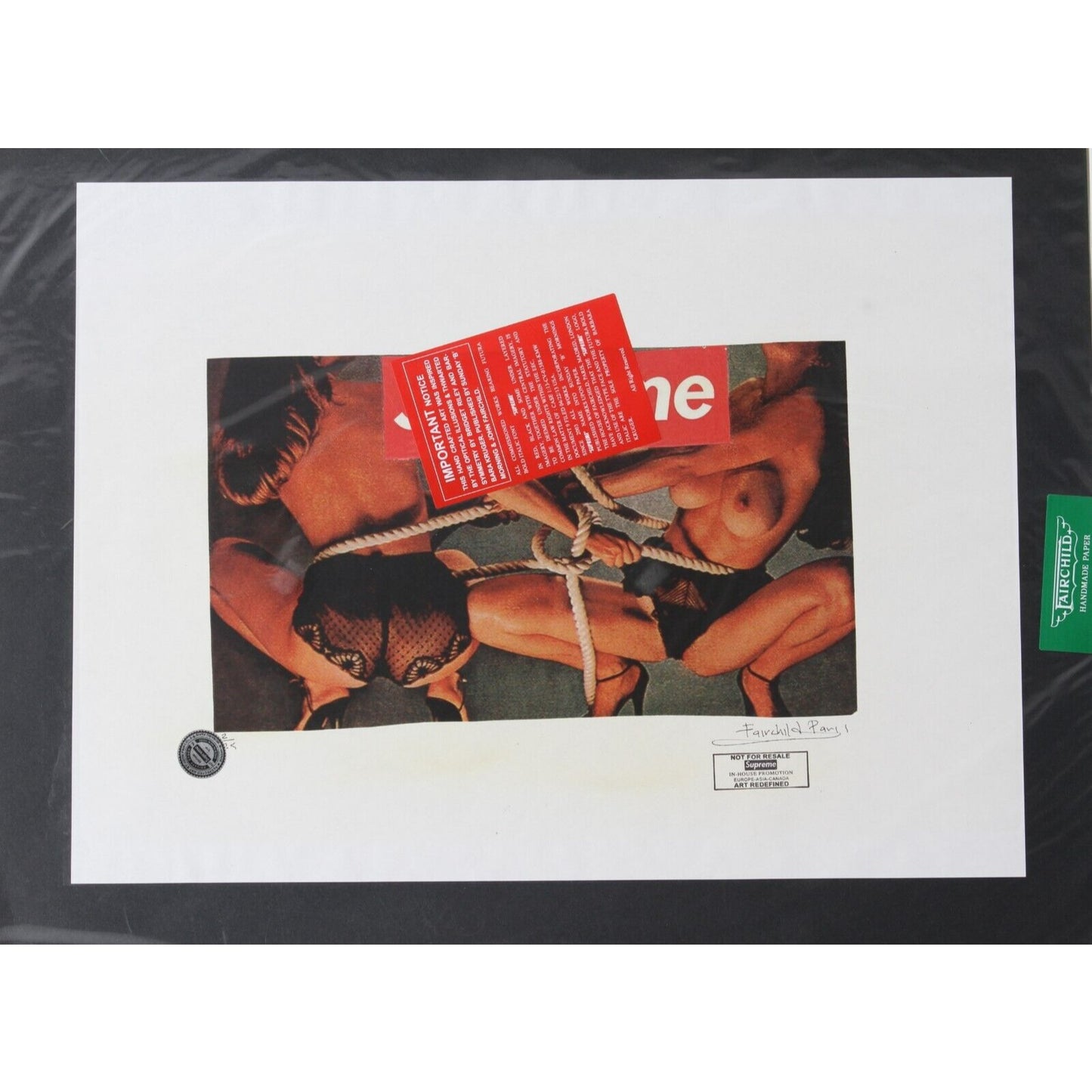 Gross Supreme Nude Print By Fairchild Paris LE 2/25