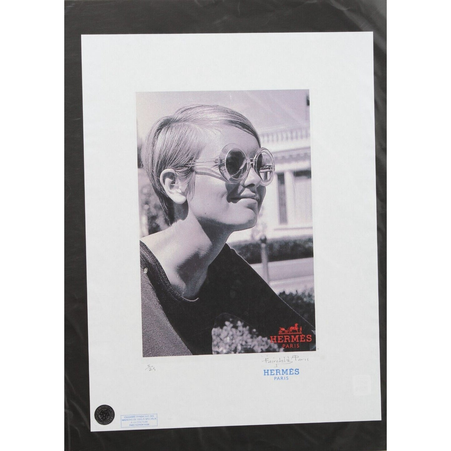 Hermes Paris Twiggy Print By Fairchild Paris LE 5/25