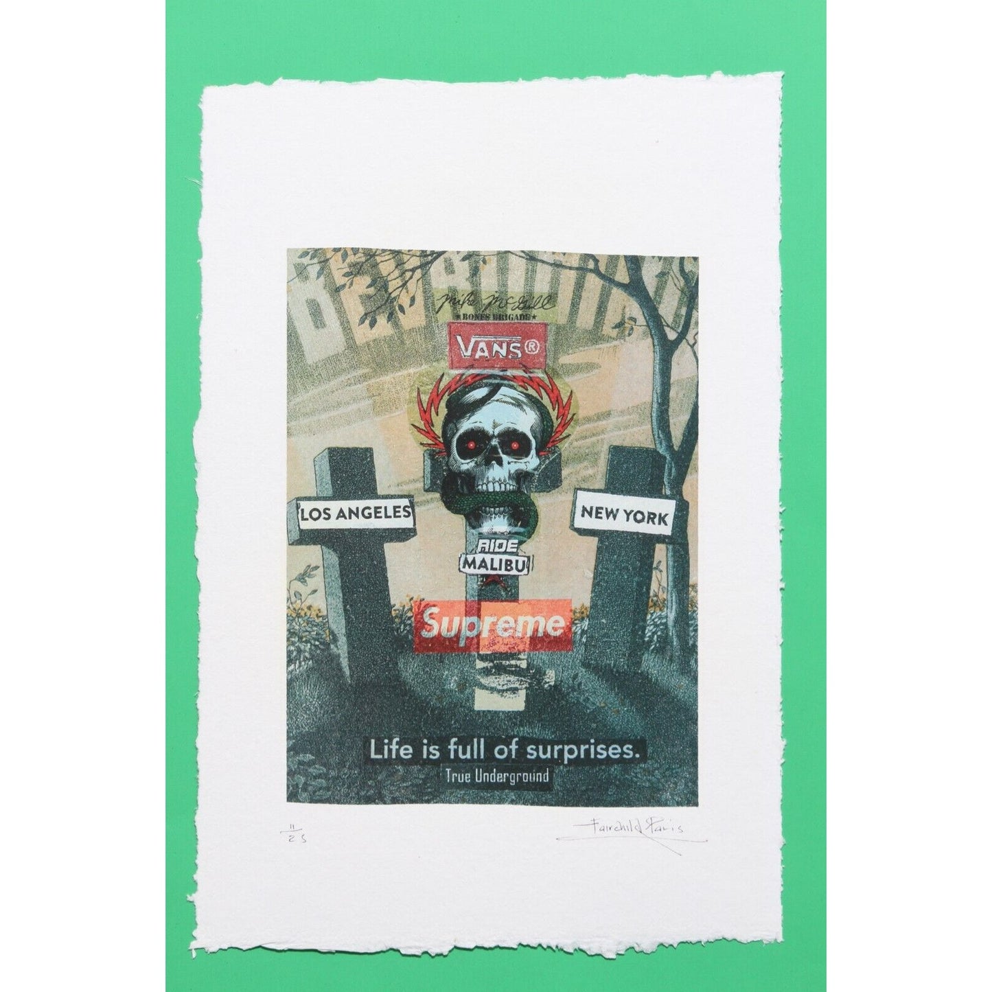 Supreme Vans Print By Fairchild Paris LE 11/25