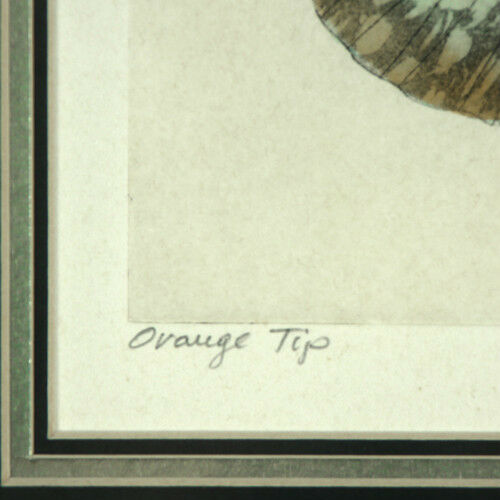 Lot of (2) Butterfly Lithographs by Dan Mitra Signed Limited Edition #3/400