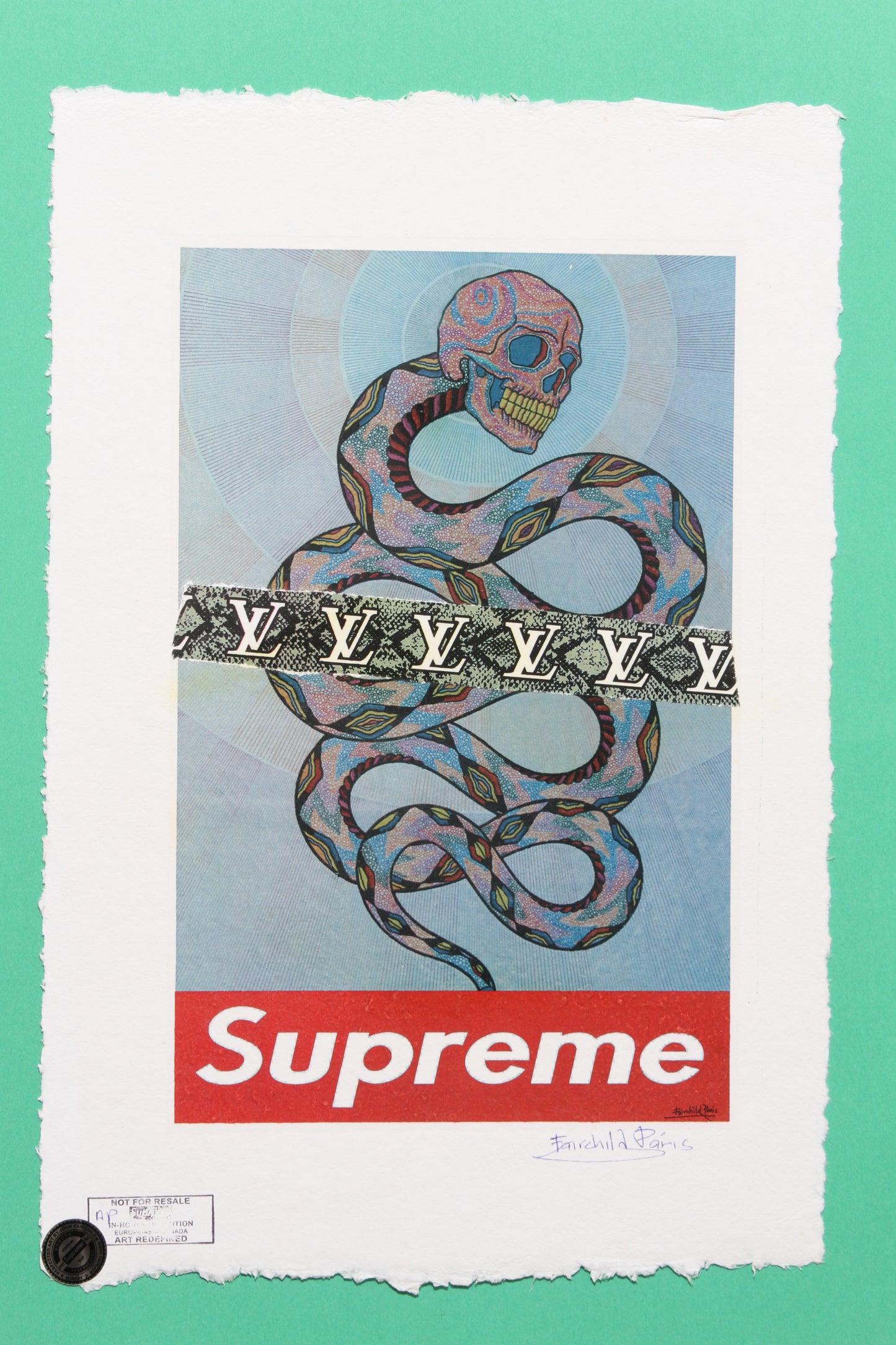 Supreme Louis Vuitton Print By Fairchild Paris AP