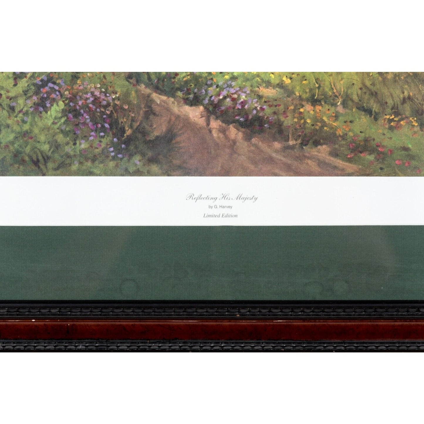 "Reflecting His Majesty" by G Harvey Framed Lithograph w/ CoA #8946