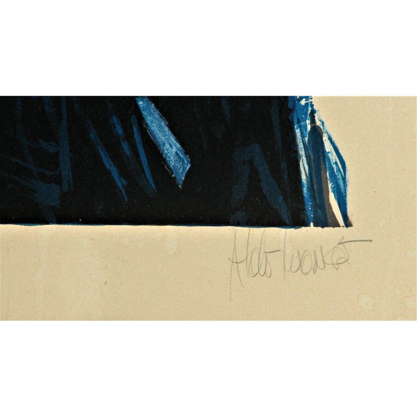 "The Hawk and The Mug" by Aldo Luongo Signed Lithograph Framed Numbered 48/50 AP