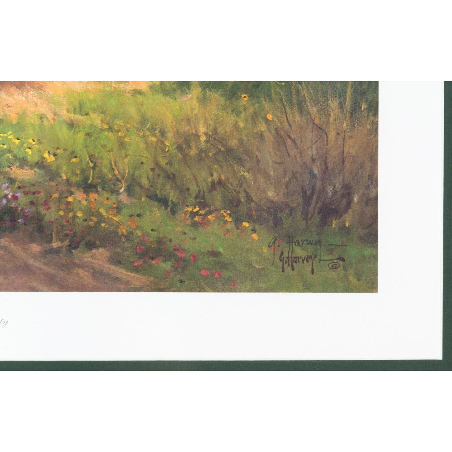 "Reflecting His Majesty" by G Harvey Framed Lithograph w/ CoA #8946