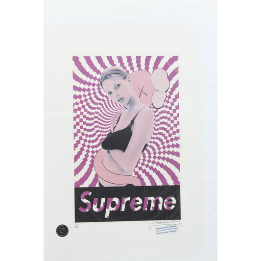 Supreme KAWS Print By Fairchild Paris LE 5/50