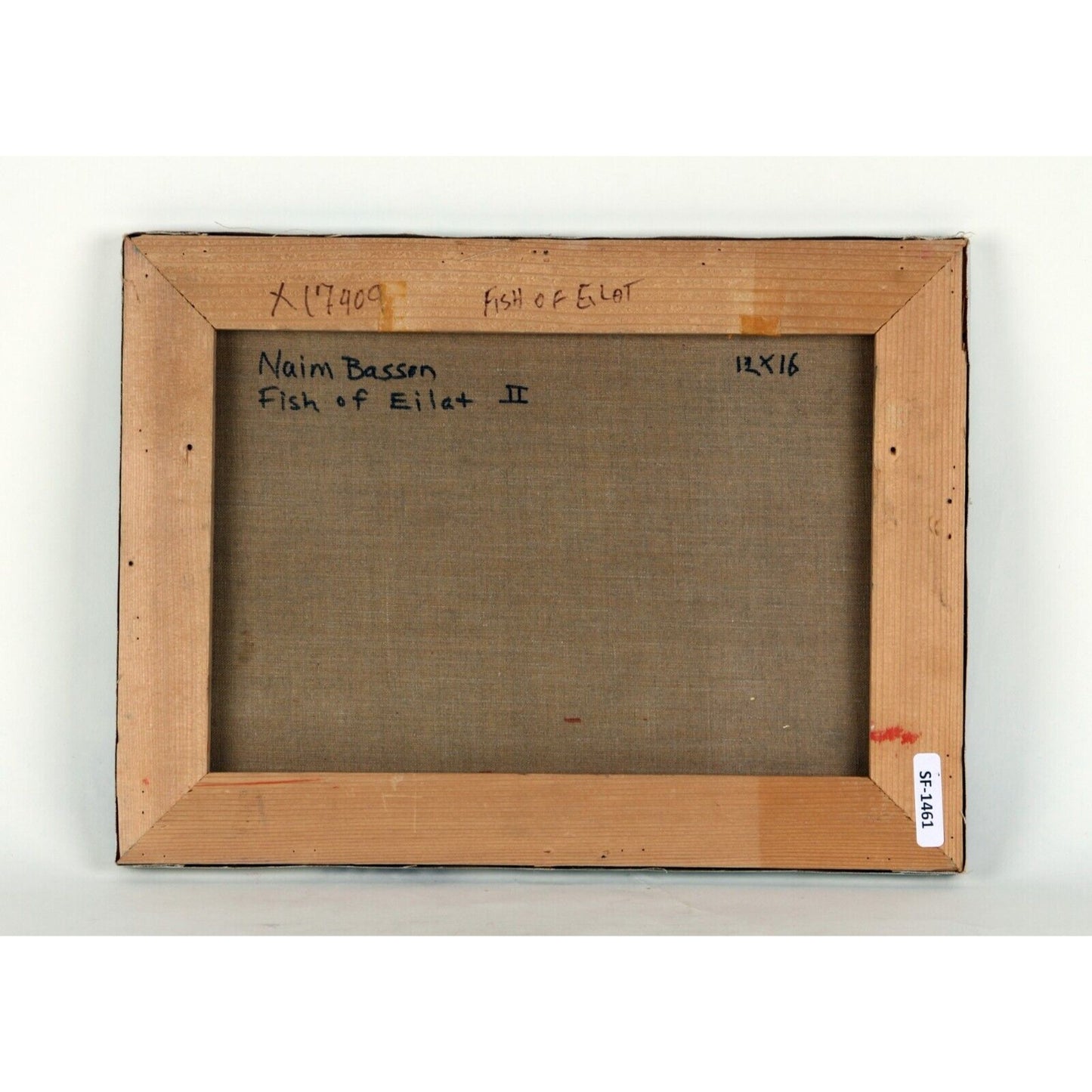 "Fish of Eilat II" by Naim Basson, Oil Painting on Canvas, 12x16