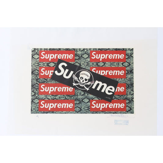 Supreme Snakeskin Print By Fairchild Paris AP