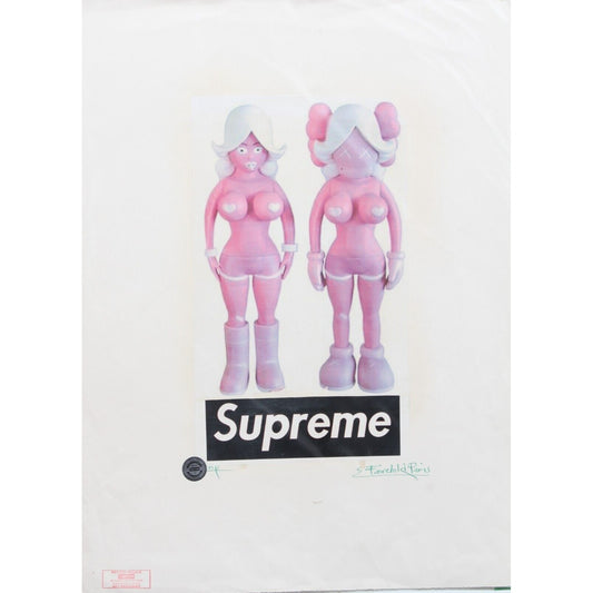 Lady KAWS Print By Fairchild Paris AP