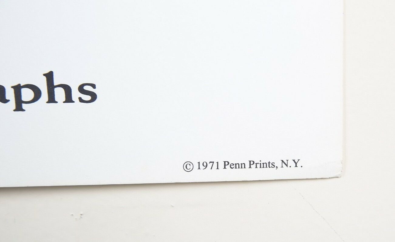 "Story of King David" by Reuven Rubin Poster from 12-Piece Suite 20 x 29 w/ CoA