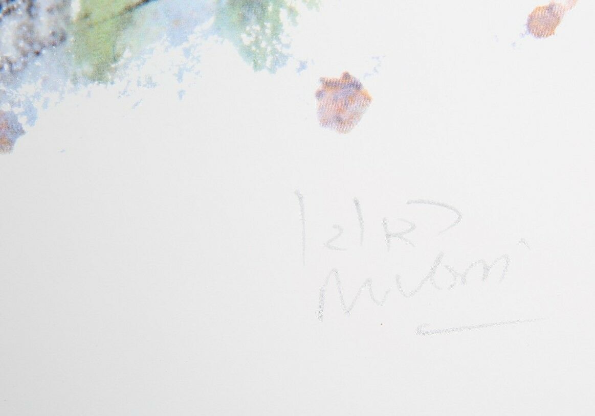 "Story of King David" by Reuven Rubin Poster from 12-Piece Suite 20 x 29 w/ CoA