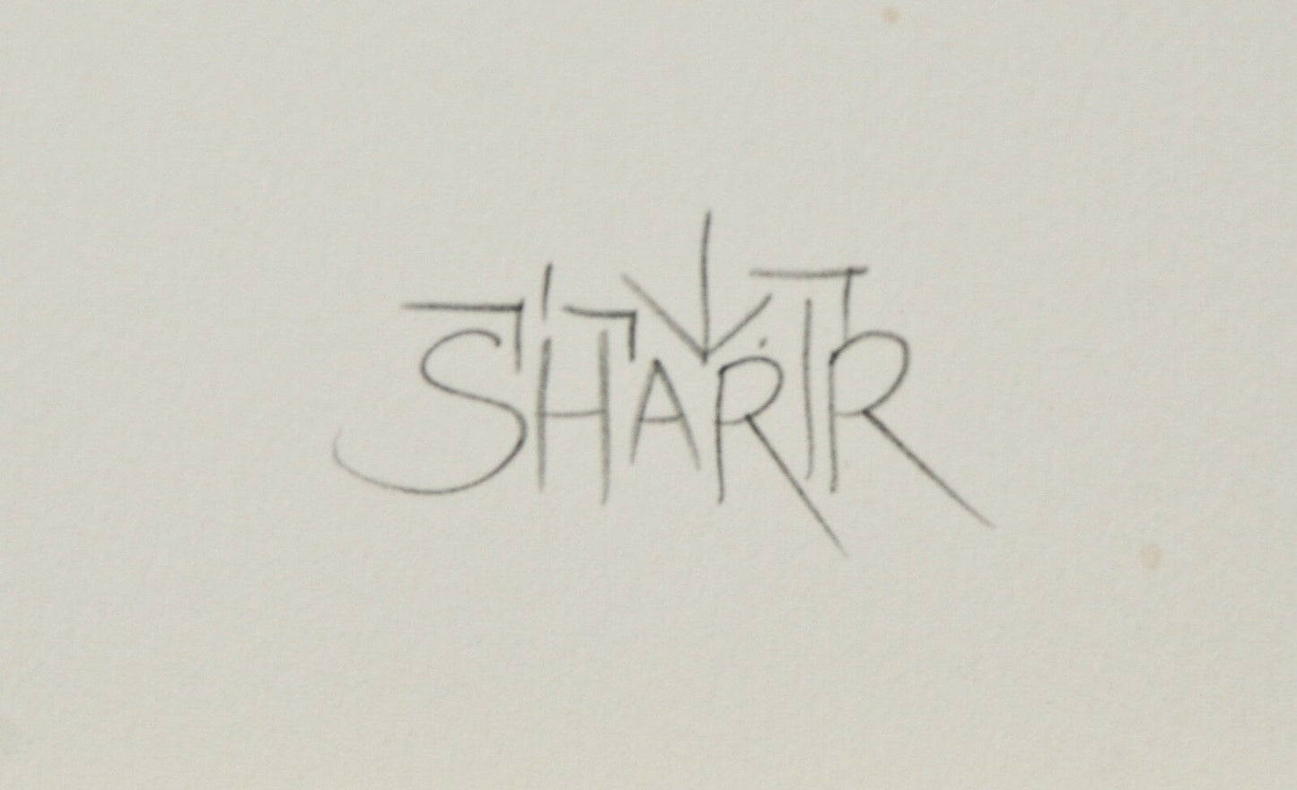 "City of David" by David Sharir Signed Ltd Edition #328/400 Lithograph 30"x22"