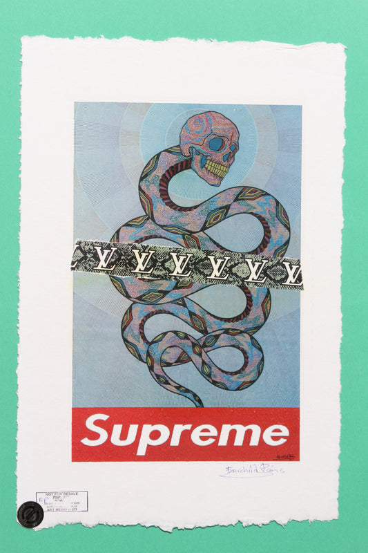 Supreme Louis Vuitton Print By Fairchild Paris AP