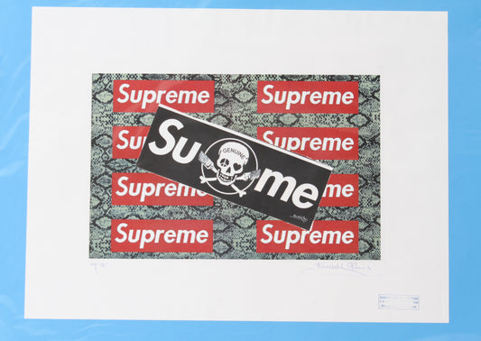 Supreme Snakeskin Print By Fairchild Paris AP II
