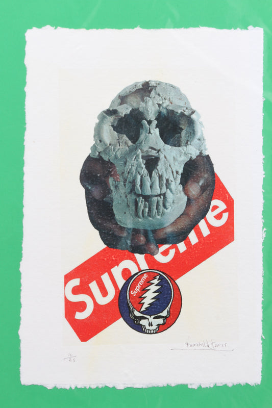 Supreme Skull Print By Fairchild Paris LE 10/25