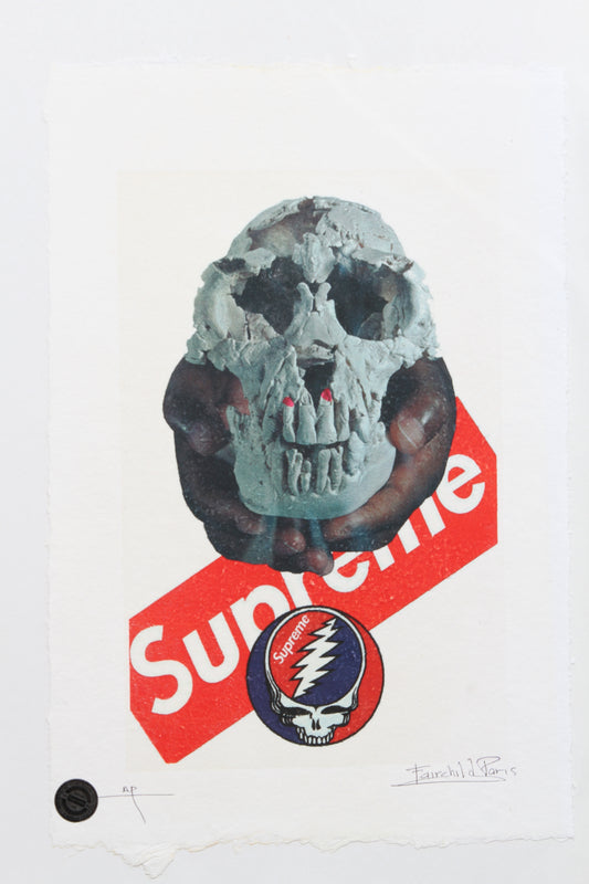 Supreme Skull Print By Fairchild Paris AP